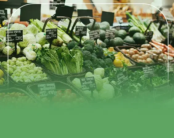 دراسة جدوى محل خضار