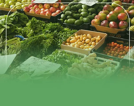 دراسة جدوى محل خضار وفواكه