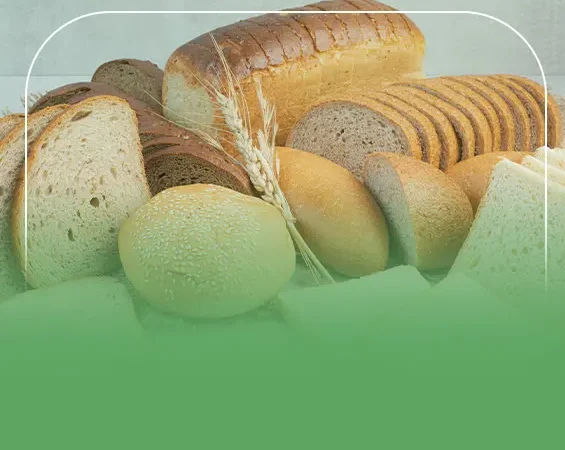 دراسة جدوى مخبز لإنتاج الخبز والمخبوزات