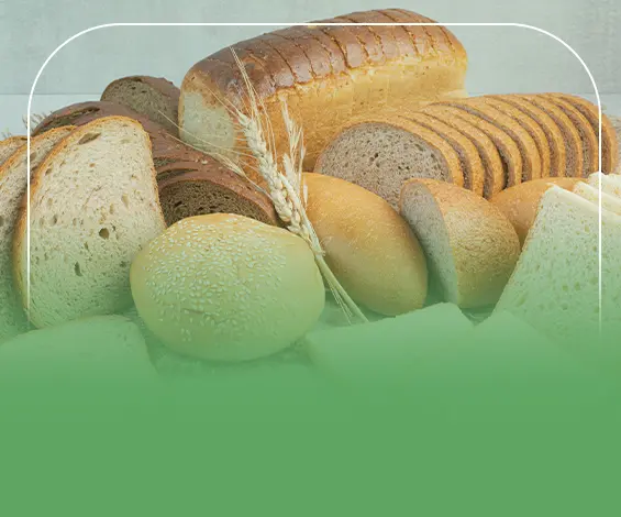 دراسة جدوى مخبز لإنتاج الخبز والمخبوزات