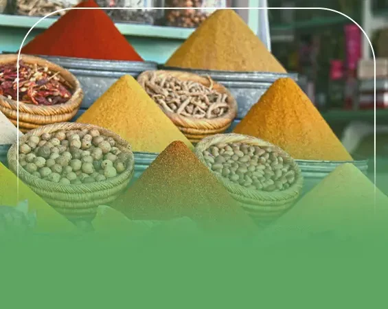 دراسة جدوى مشروع بهارات ريفي باستثمار واحد مليون و300 ألف دولار