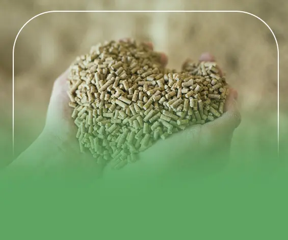 دراسة جدوى مشروع تجارة الاعلاف بالجمله