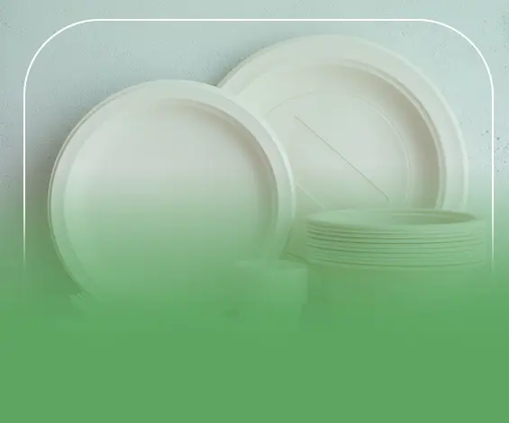 دراسة جدوى مشروع صناعة أطباق الفوم