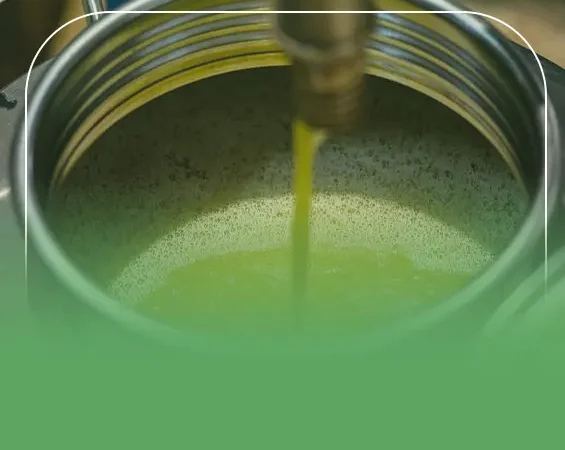 دراسة جدوى مشروع معصرة