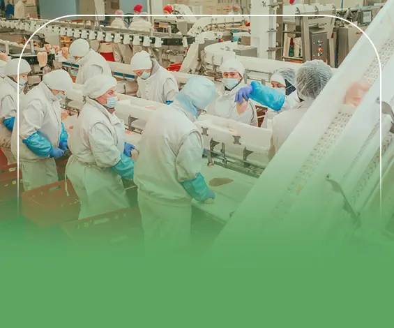 دراسة جدوى مصنع اغذية ومعلبات