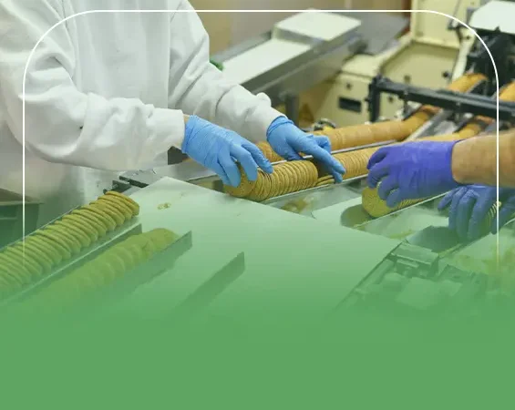 دراسة جدوى مصنع بسكويت