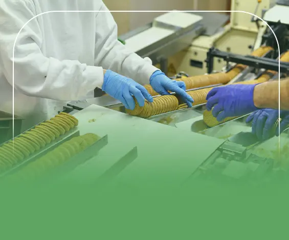 دراسة جدوى مصنع بسكويت