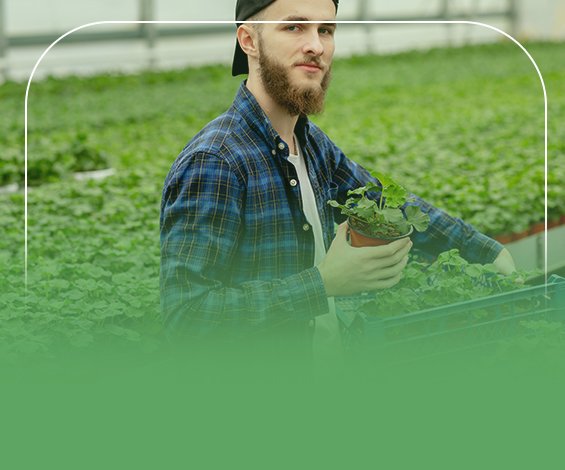 دراسة جدوى مشروع زراعي صغير