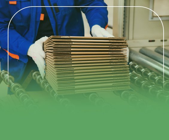 دراسة جدوى مصنع الكرتون المضلع