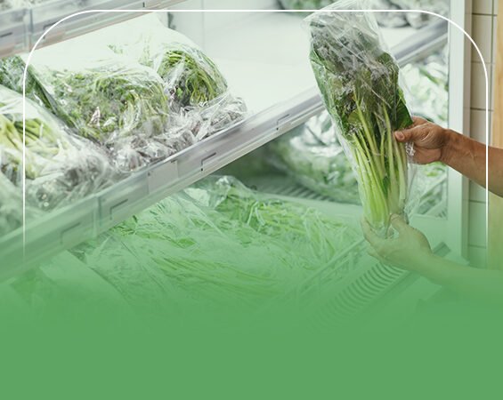 دراسة جدوى مصنع لتجميد الخضروات
