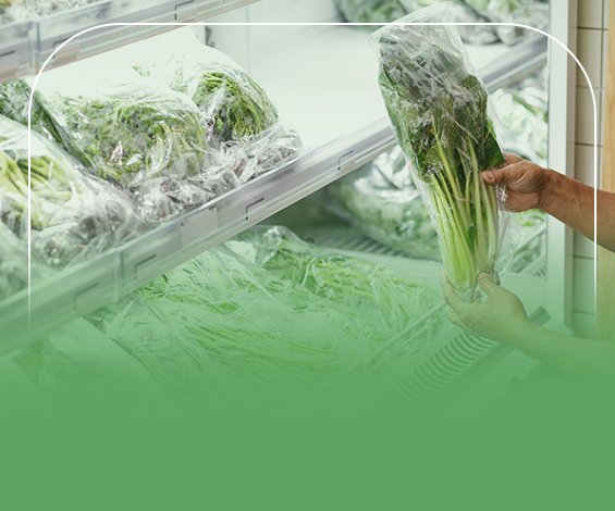 دراسة جدوى مصنع لتجميد الخضروات