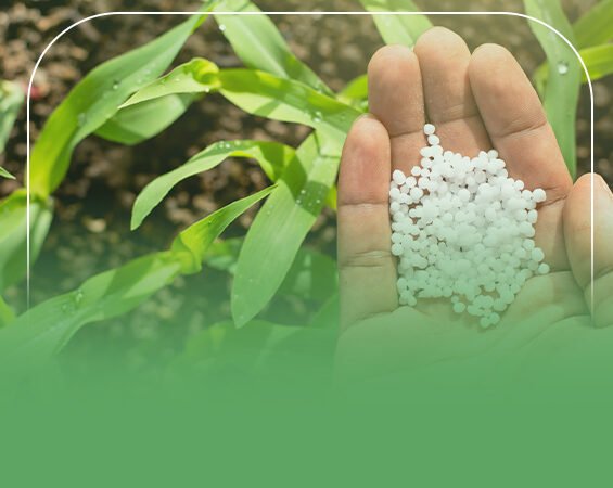 دراسة جدوى مصنع لصناعة الاسمدة