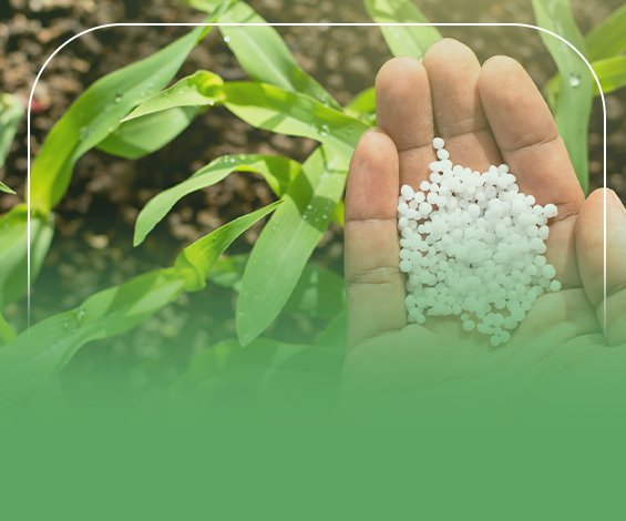 دراسة جدوى مصنع لصناعة الاسمدة