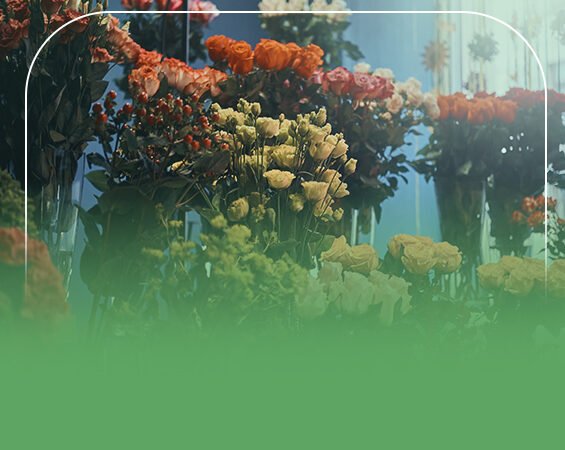 دراسة جدوى معرض الزهور والورود